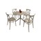 Luxury Commercial Living 5-Piece Taupe Brown Outdoor Patio XL Dining Set